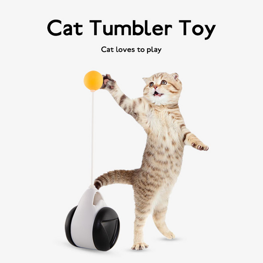 Cat playing with interactive swinging ball tumbler cat toy - Shopszara
