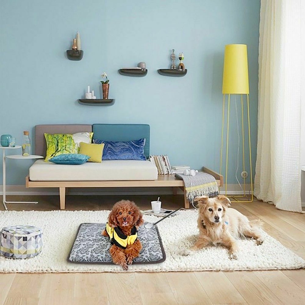 Poodle resting on pet heating bed pad in a cozy living room setting - Shopszara