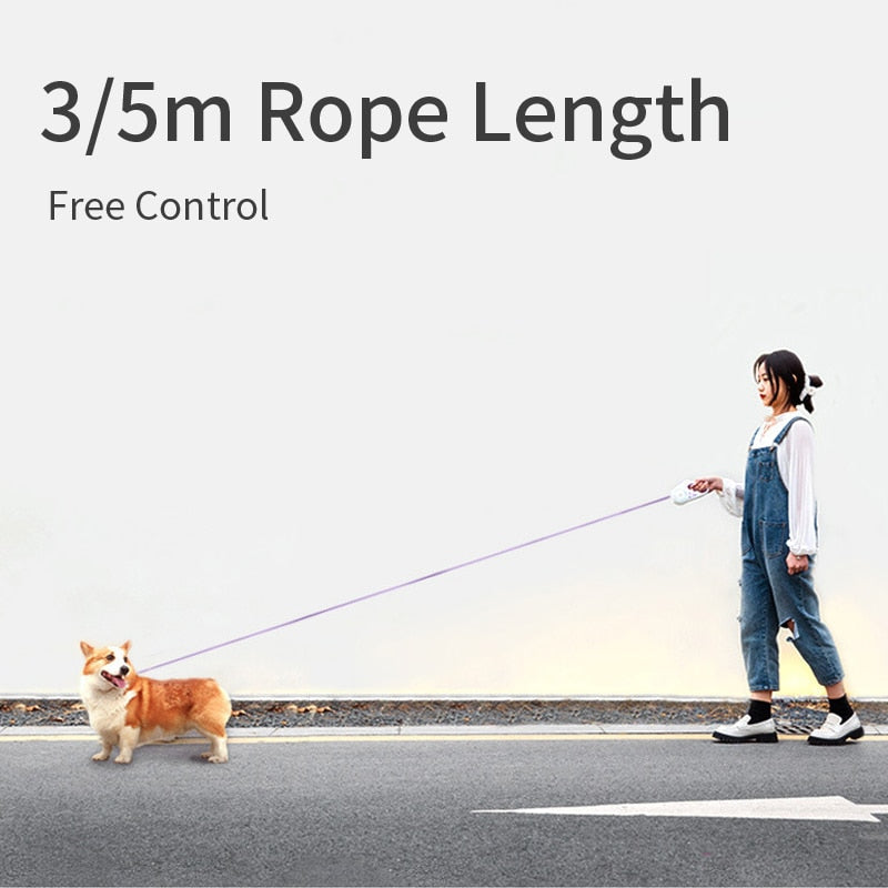 Person walking corgi with 3-5 meter retractable dog leash for free control - Shopszara