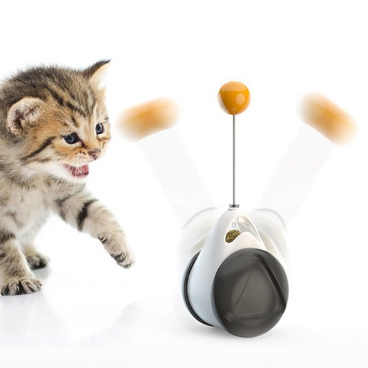 Kitten playing with the interactive swinging ball tumbler cat toy - Shopszara