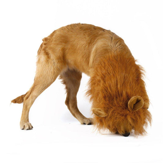 Dog wearing lion mane costume wig side view - Shopszara