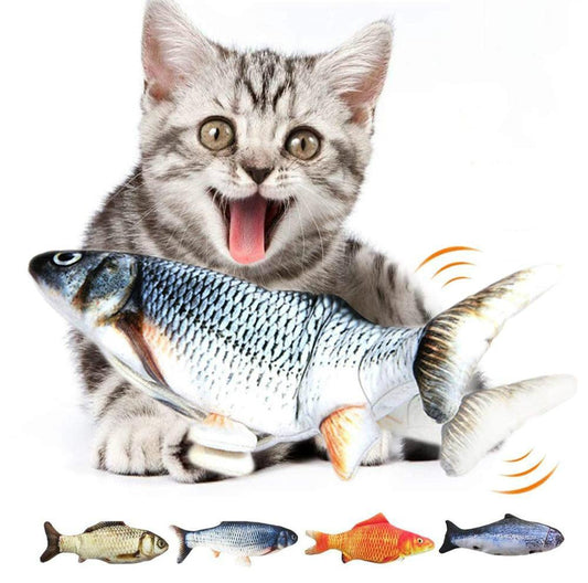 Kitten playing with electric flipping fish toy for cats - Shopszara