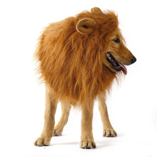 Golden retriever wearing lion mane costume wig for dogs - Shopszara